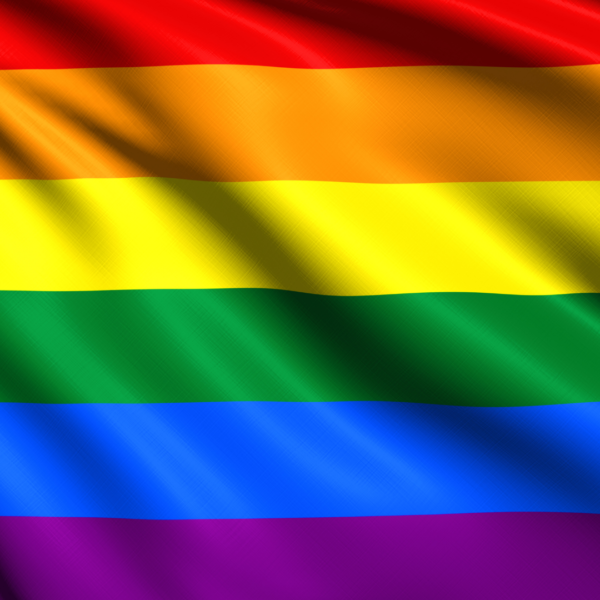 MHARS Board Observes June as Pride Month